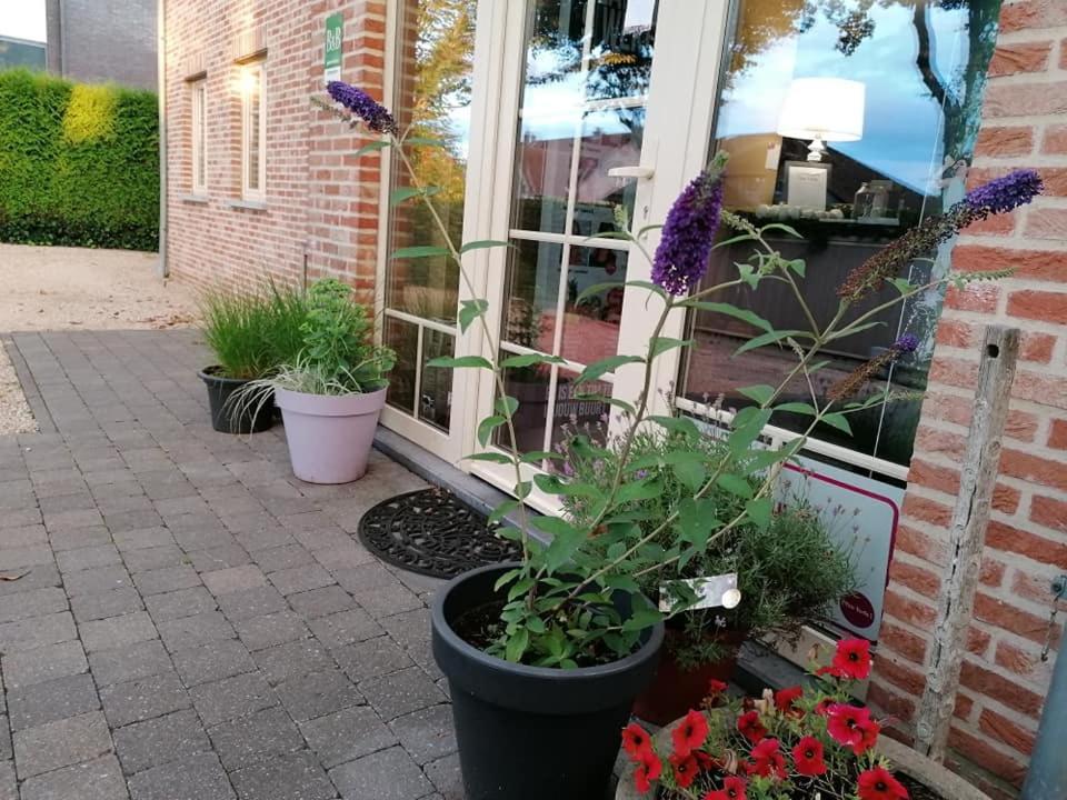 Luxe Wellness B&B Tim Torfs ***** Беринген Экстерьер фото